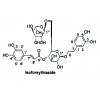 供應異連翹酯苷,Isoforsythiaside