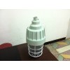 BAD61防爆燈L100W70W150W壁式、吸頂式