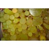 Pu棒=優力膠【深圳華信】【優力膠】Pu棒=優力膠