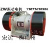 ZW振動(dòng)電機(jī) ZW16-6振動(dòng)電機(jī) ZGY三相異步振動(dòng)電機(jī)