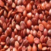 生產(chǎn)廠家現(xiàn)貨優(yōu)惠供應(yīng)2%酸棗仁提取物 Jujuboside