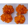 優(yōu)惠供應(yīng)萬(wàn)壽菊提取物 葉黃素lutein