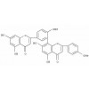 異銀杏素_CAS:548-19-6，Isoginkgetin