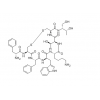 奧曲肽 CAS:79517-01-4