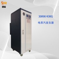 30KW節(jié)能蒸汽發(fā)生器 全自動(dòng)電蒸汽發(fā)生器